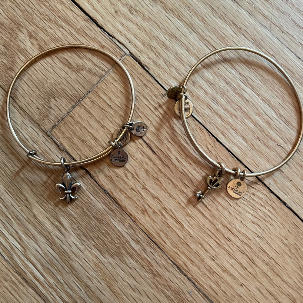 Amex and ani charm bangle - set of 2